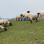 Uhlenhoff Boyken